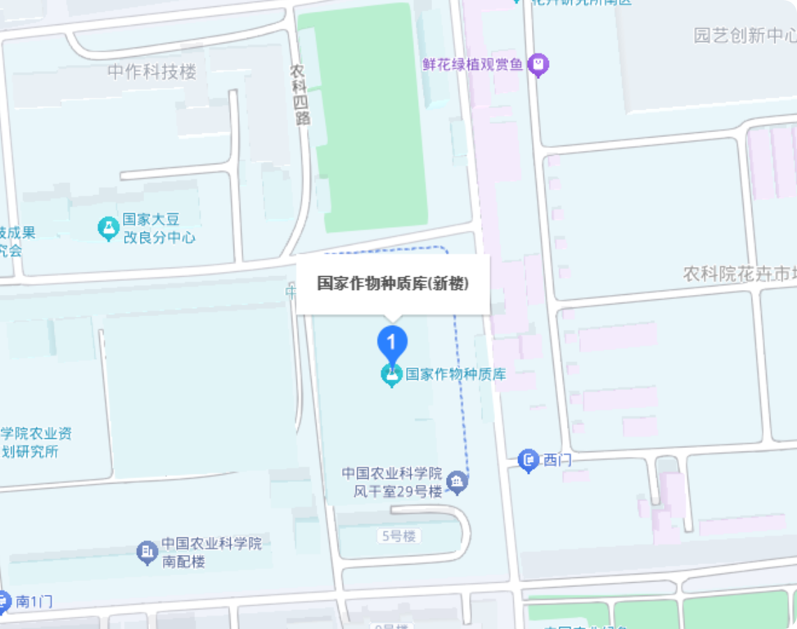 地图